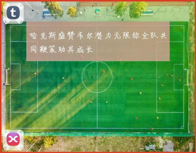 哈克斯盛赞韦尔潜力无限称全队共同鞭策助其成长