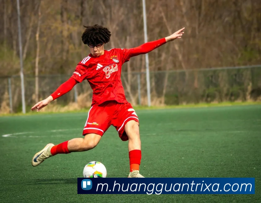 皇冠体育平台生态图