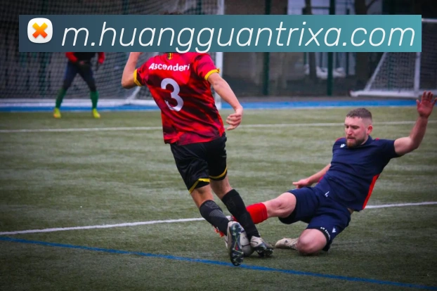 企业概况